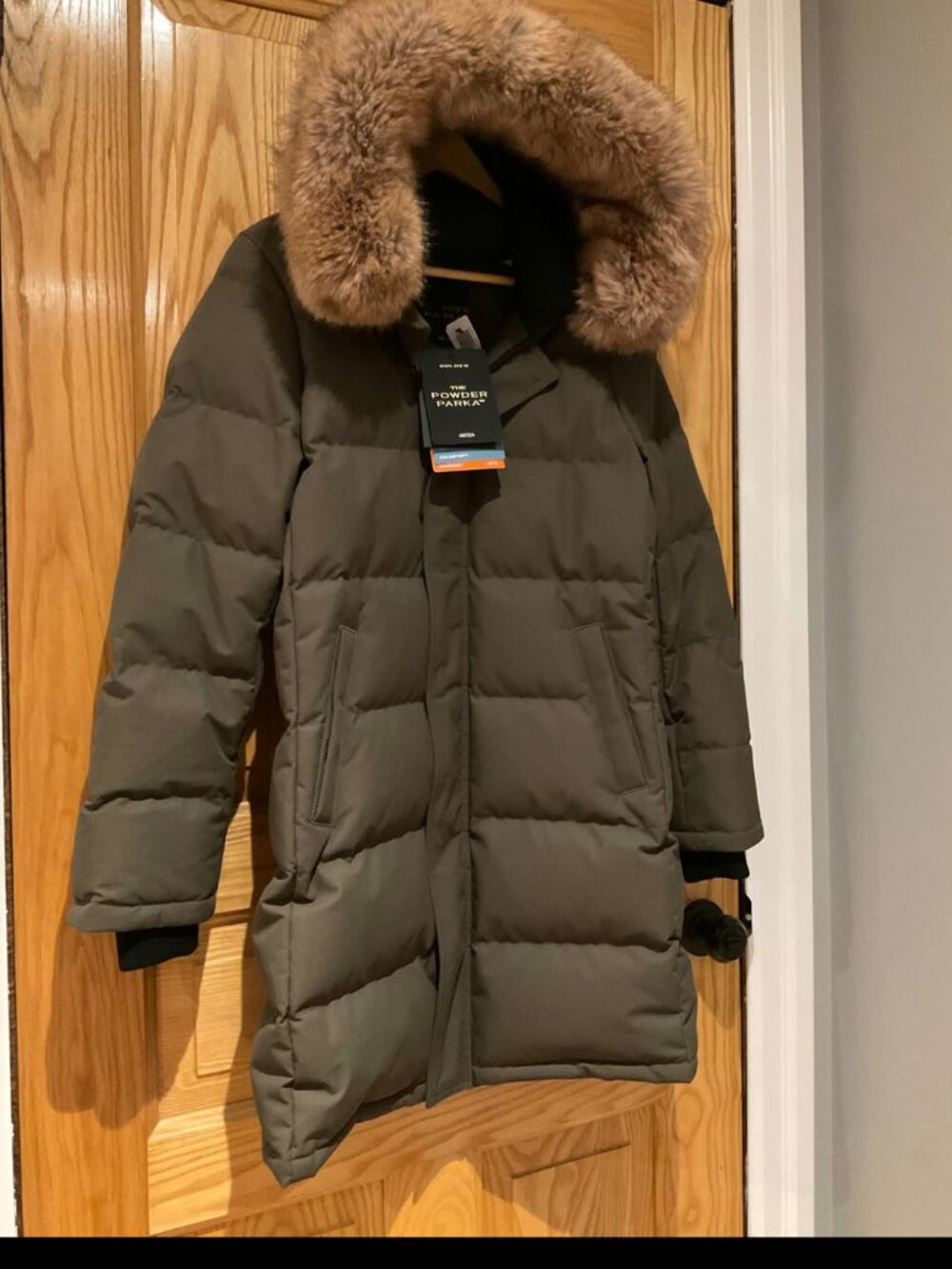 Aritzia powder parka